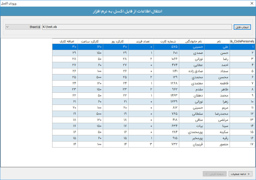 قابلیت ورودی اکسل